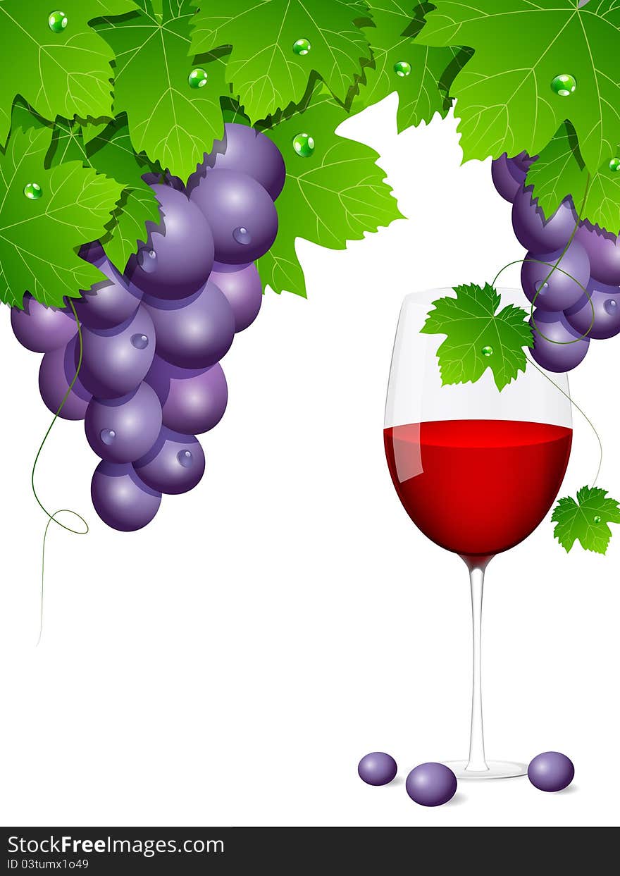 Vector background with blue grapes