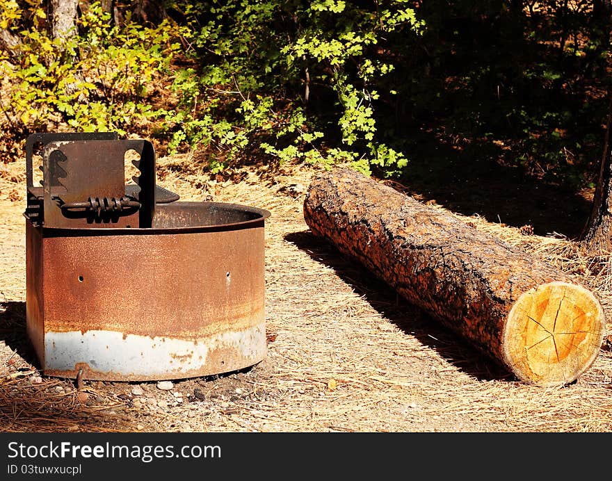 Photo of forest campground grill with log sitting area.