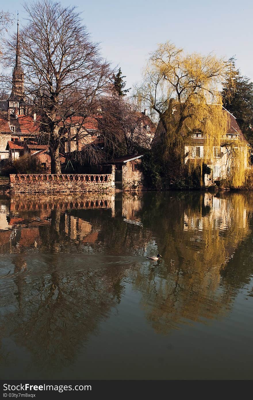 Reflections In The River