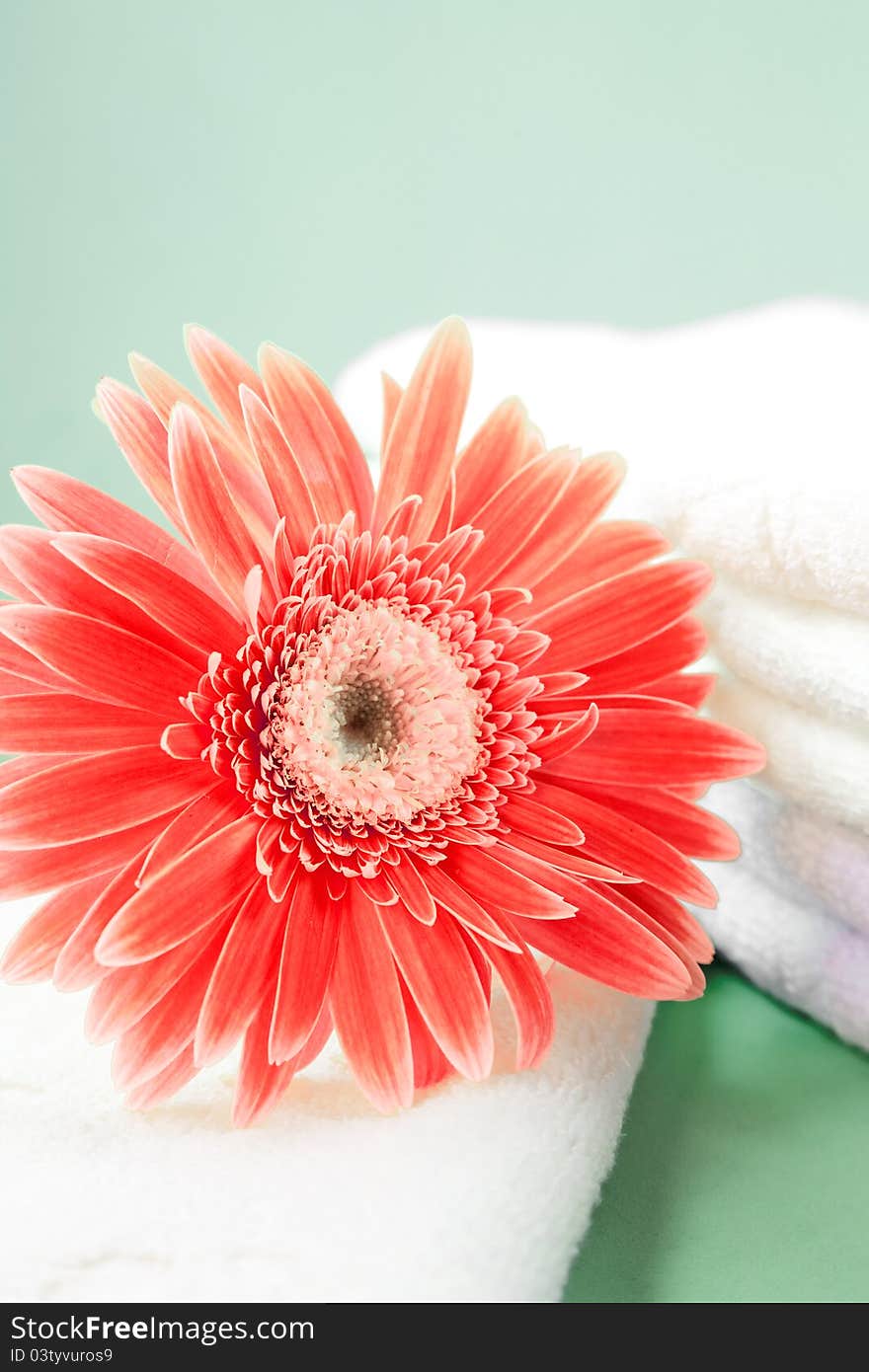 Flower and towel