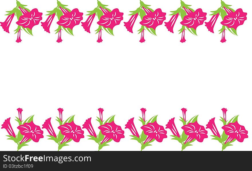 Petunia flowers on white background