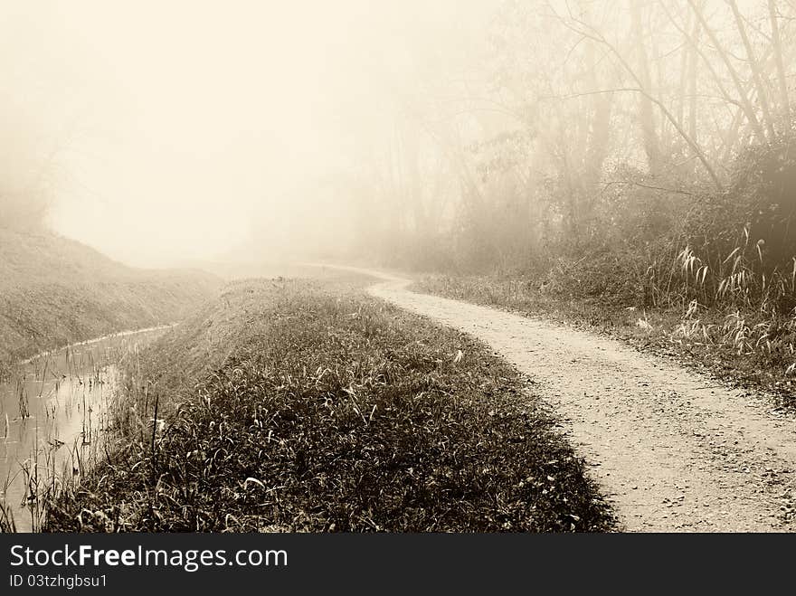 Country Road Near The Canal