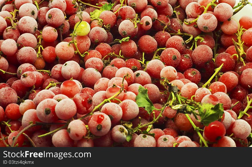 Red cranberries in a background texture