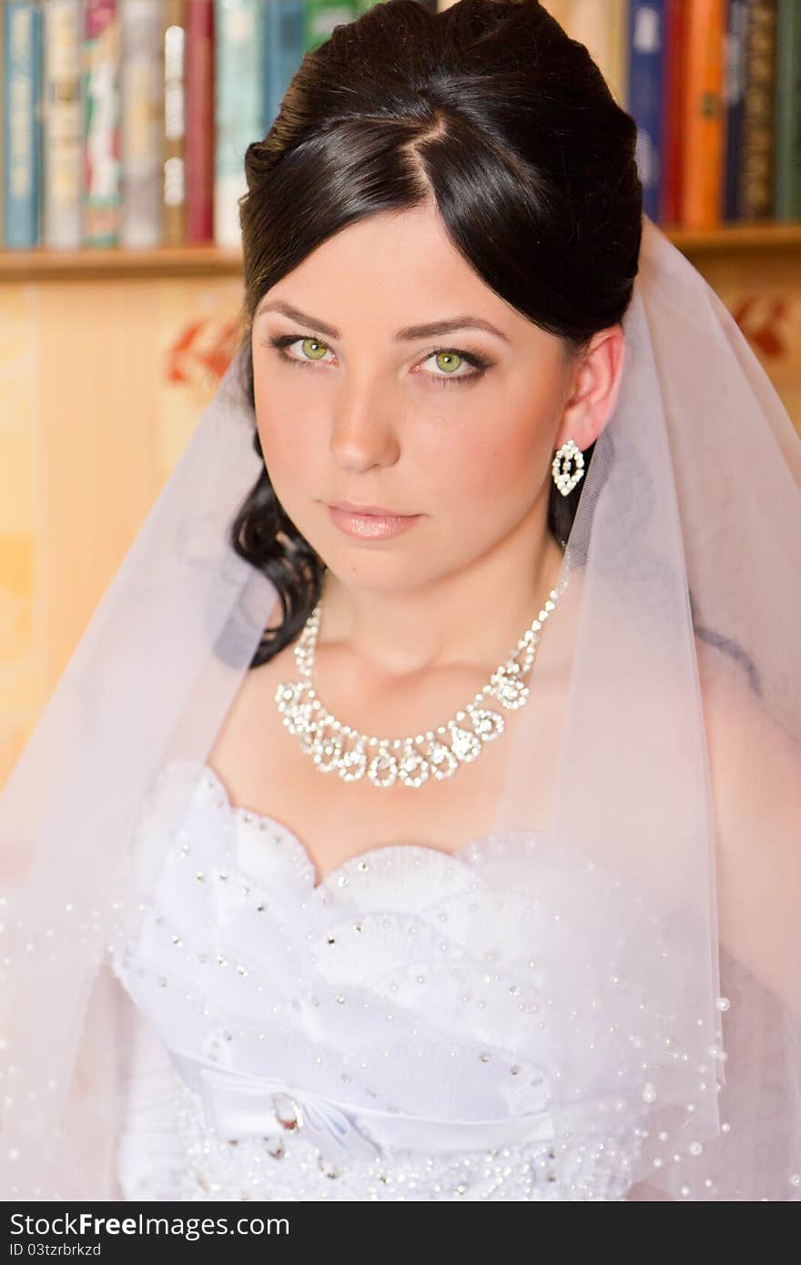 Portrait of a beautiful bride