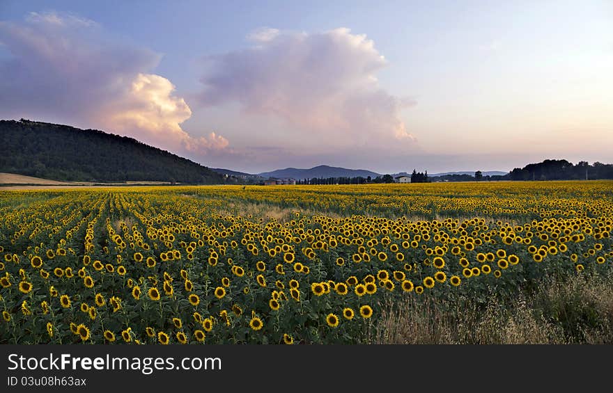 Umbrian landscape, farm and agriculture