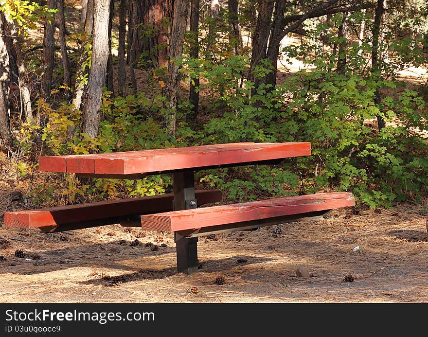 Photo of campground picnic table in a national forest.