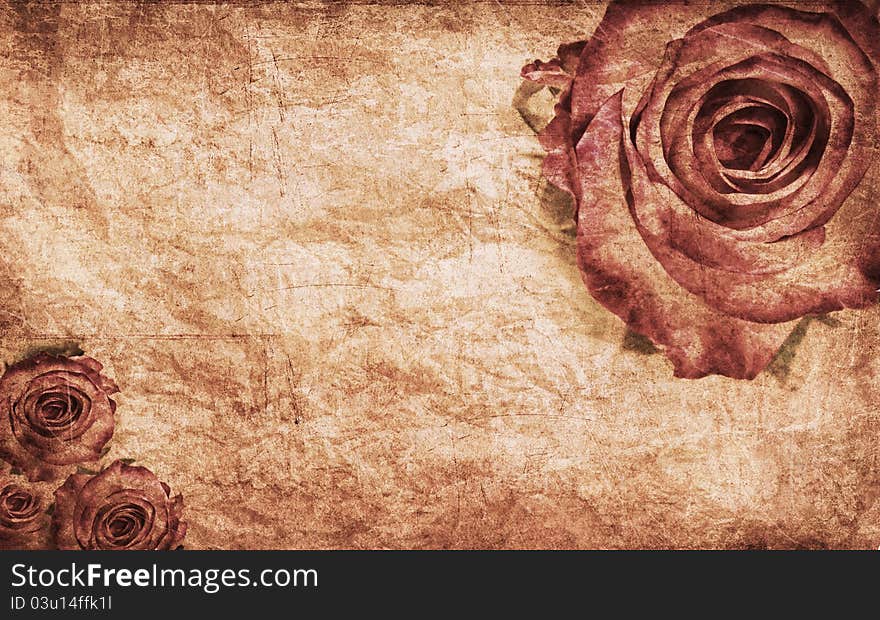 Textured rose