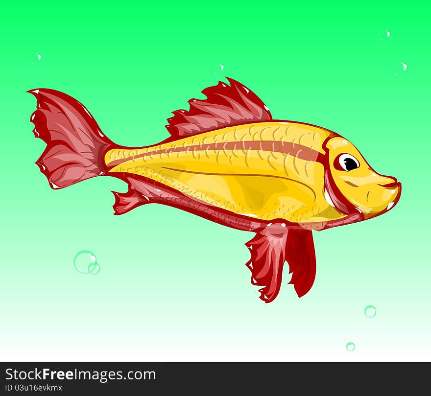 Small goldfish swimming in calm green water