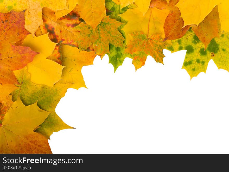 Angular frame of autumn maple leaves on white background. Angular frame of autumn maple leaves on white background