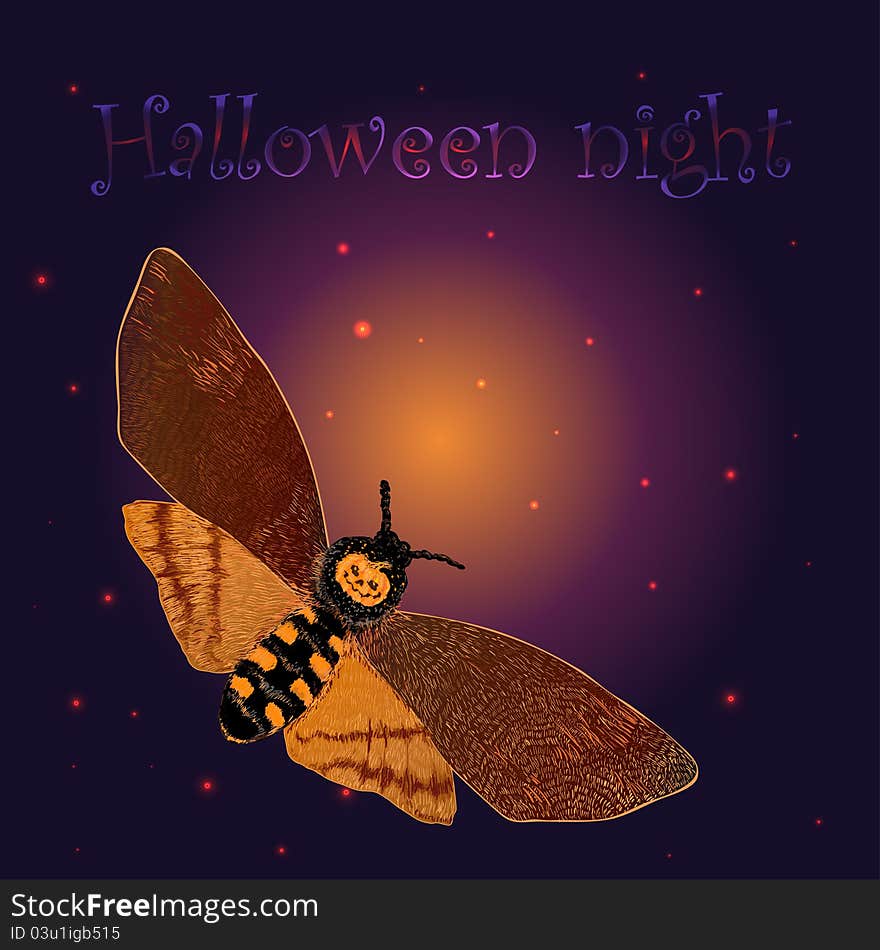 Halloween background with the night butterfly