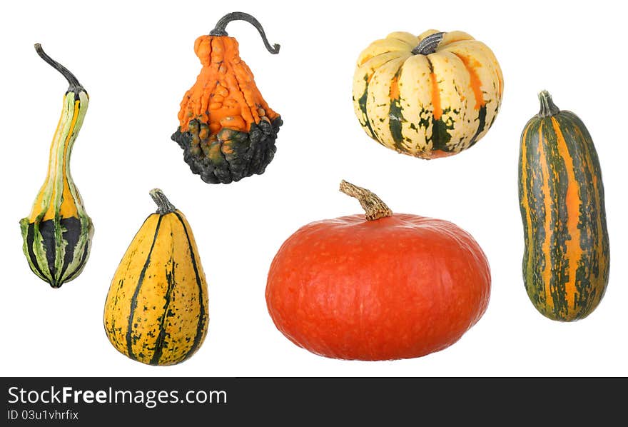 Assortment of Squash