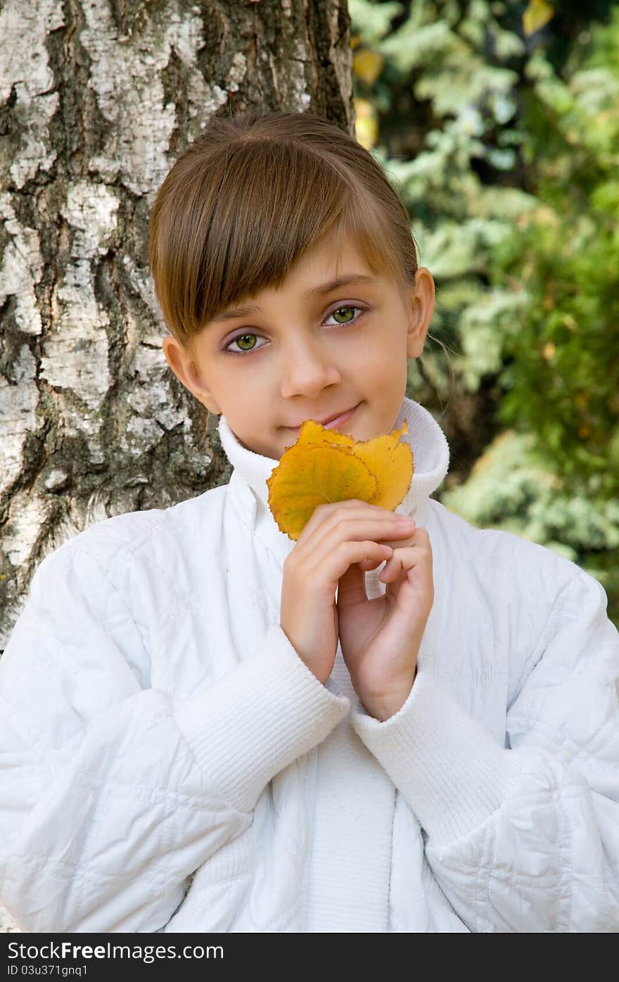 Portrait of the girl with yellow leaves. Portrait of the girl with yellow leaves