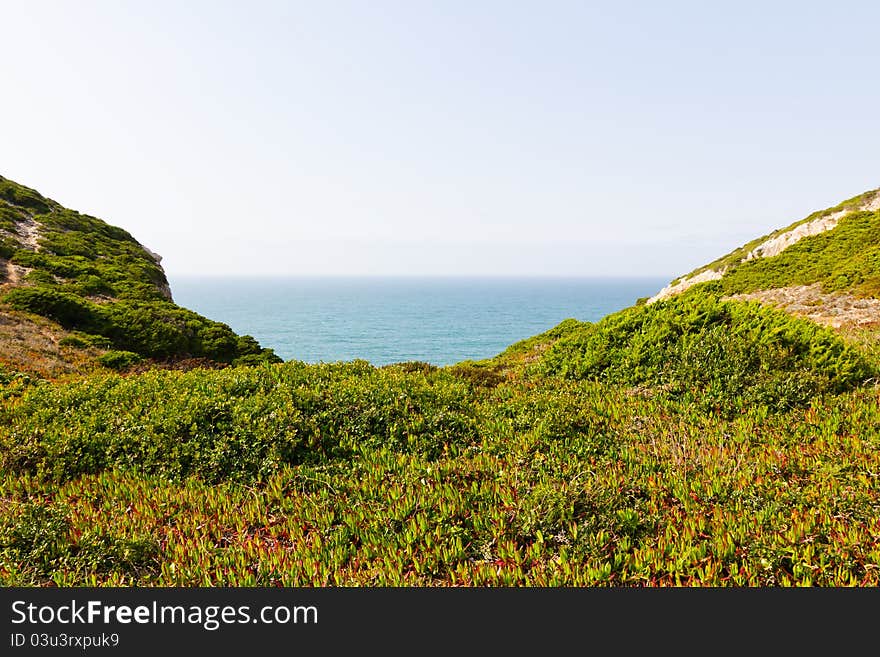 A view of grass coastline and ocean in Portugal