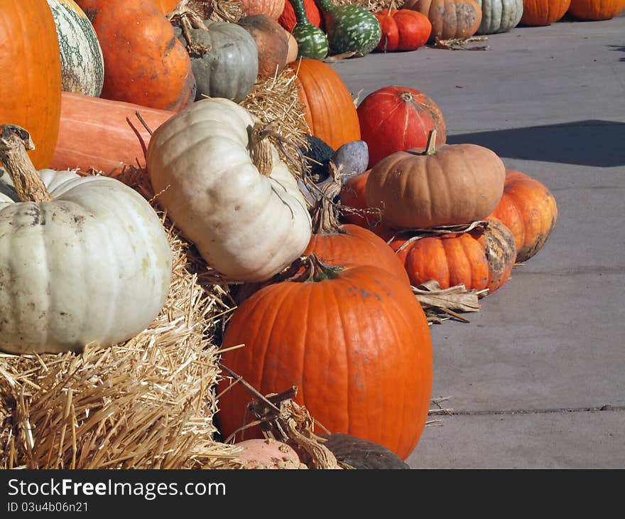 Colorful pumpkins and gourds and squash from an outdoor vegetable market in Brookfield, WI, USA. Photo taken October 17, 2011. Colorful pumpkins and gourds and squash from an outdoor vegetable market in Brookfield, WI, USA. Photo taken October 17, 2011.