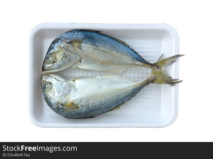 Two mackerel on white plate close up