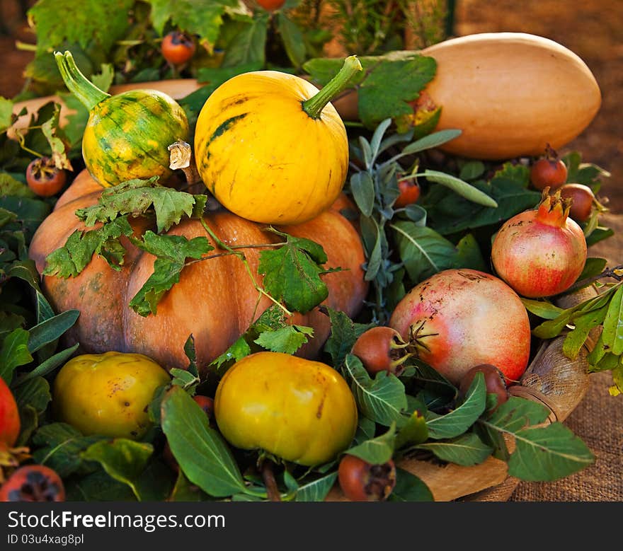 Harvested pumpkins, pomegranates and aromatic herbs. Harvested pumpkins, pomegranates and aromatic herbs.