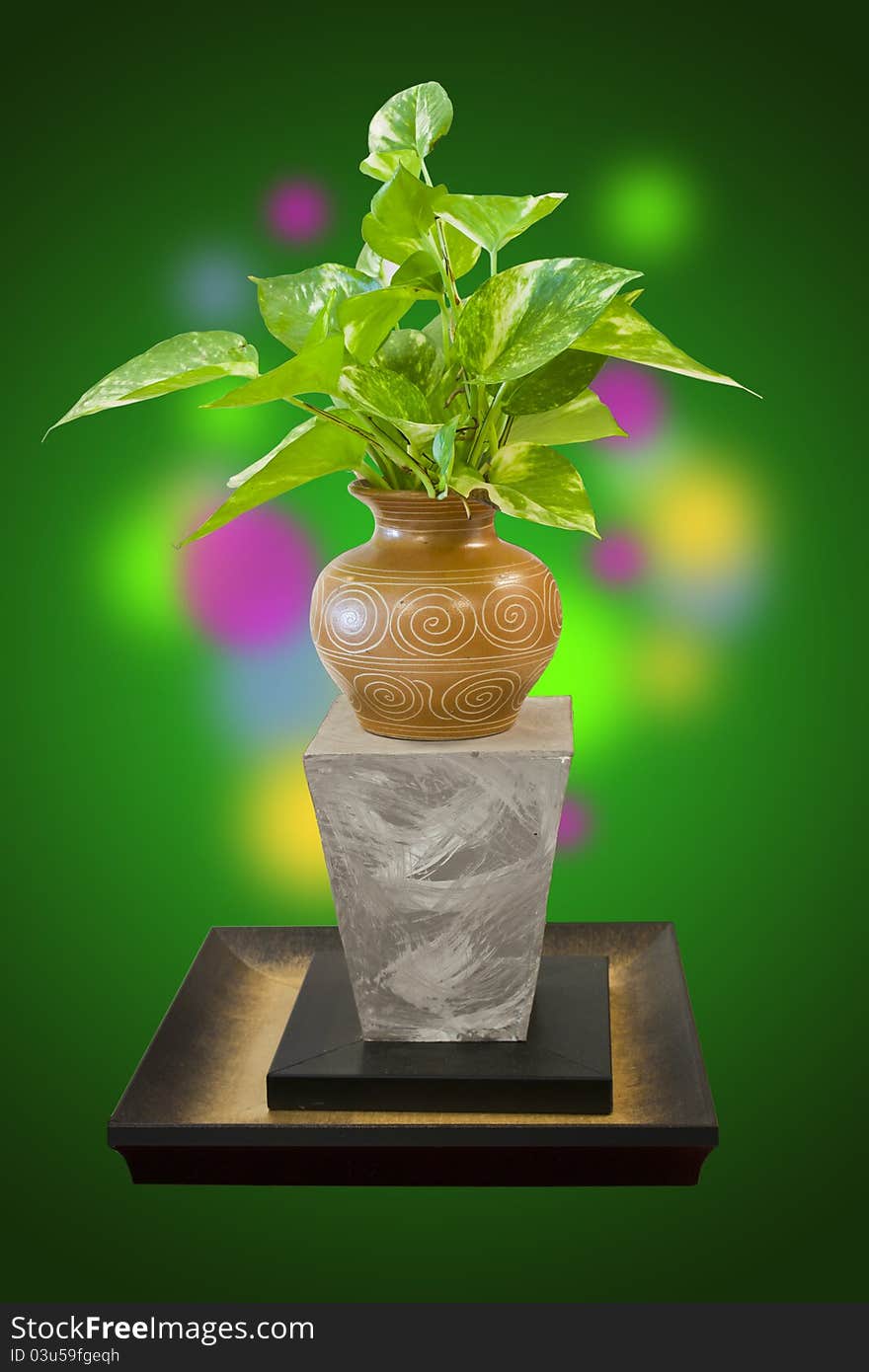 Plant With Clipping Path