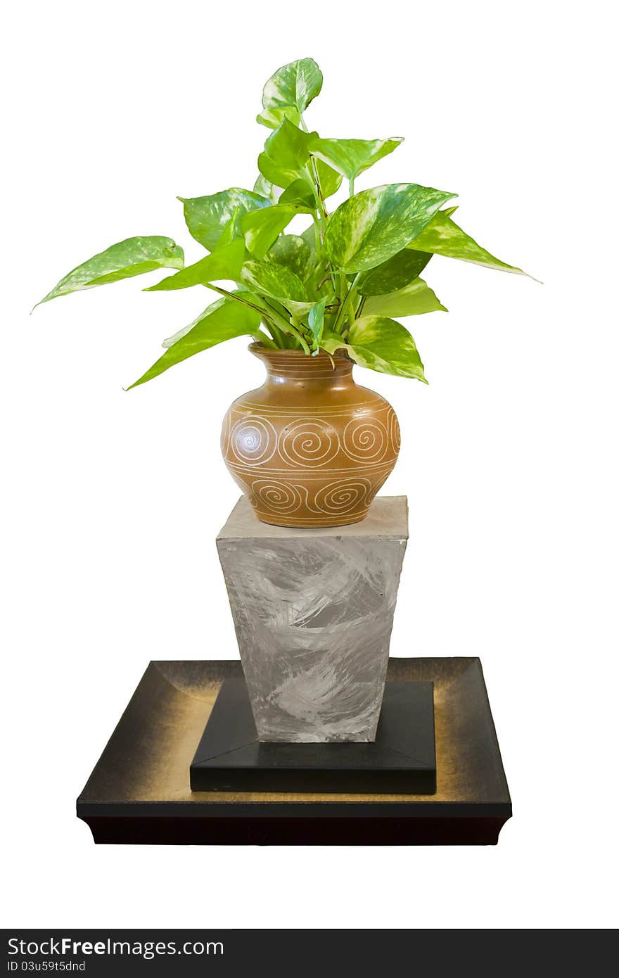 Plant With Clipping Path