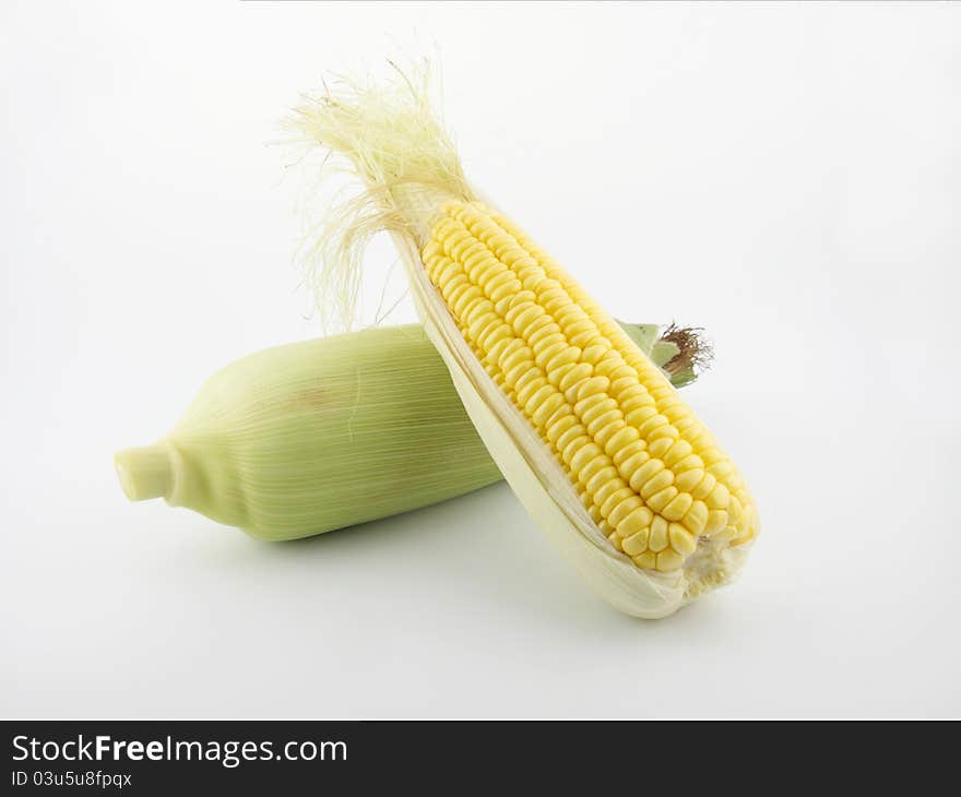 Fresh Corn