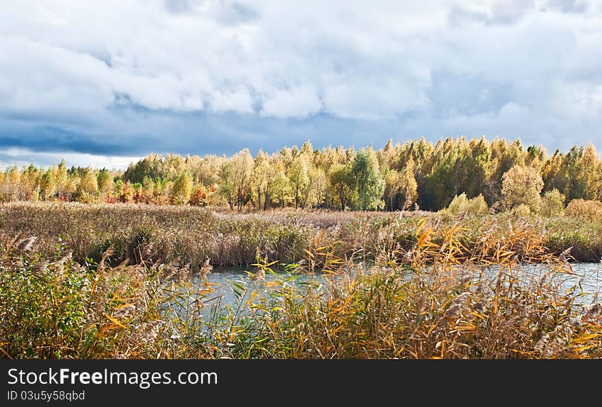 Autumn Landscape with a lake