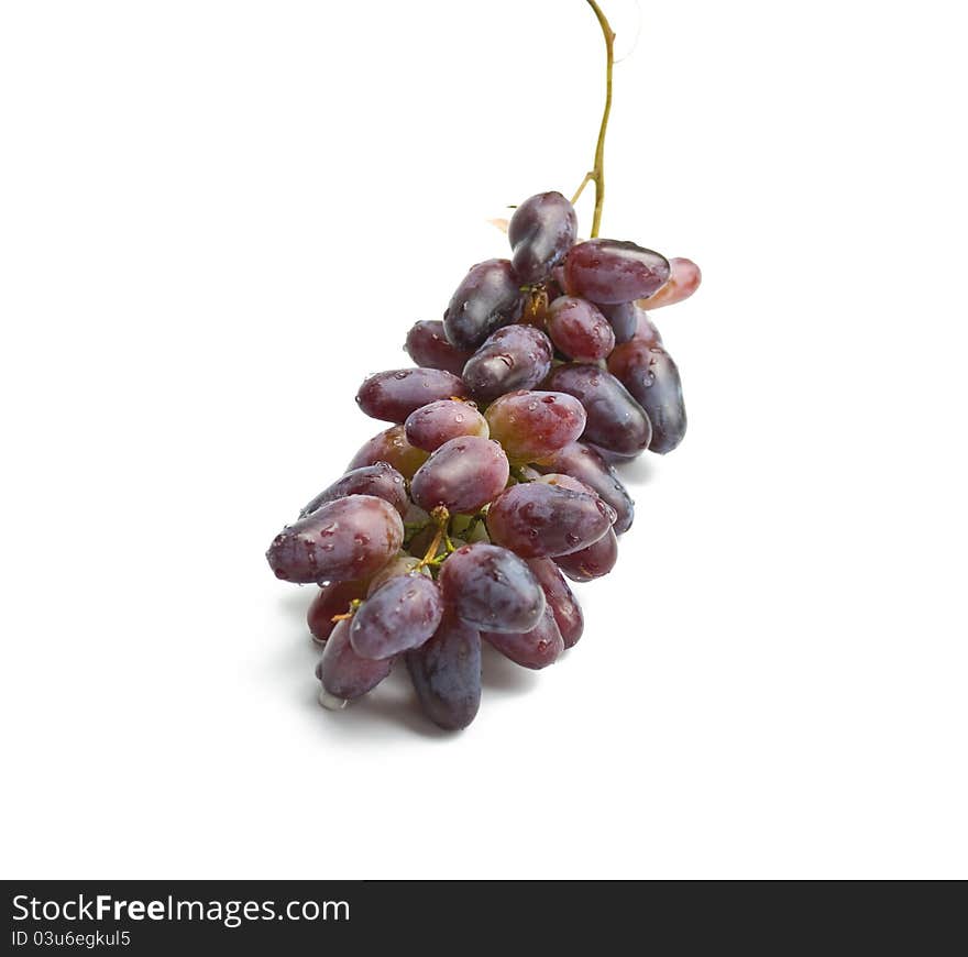 Red grapes  in a white background.