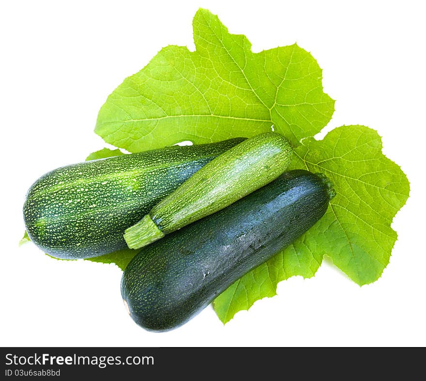 Marrows