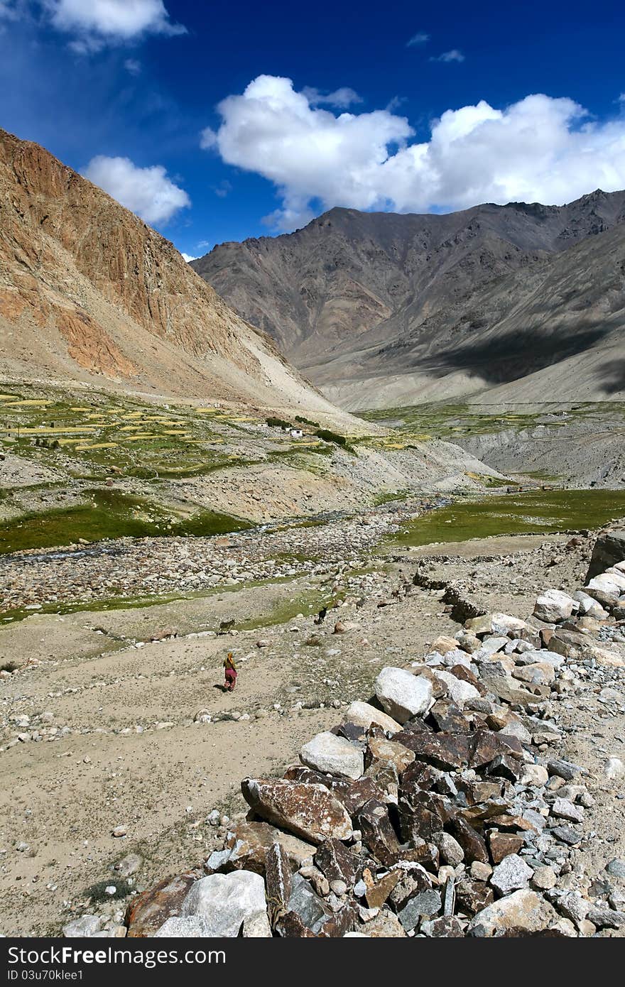 Landscape with green valley in Himalayas