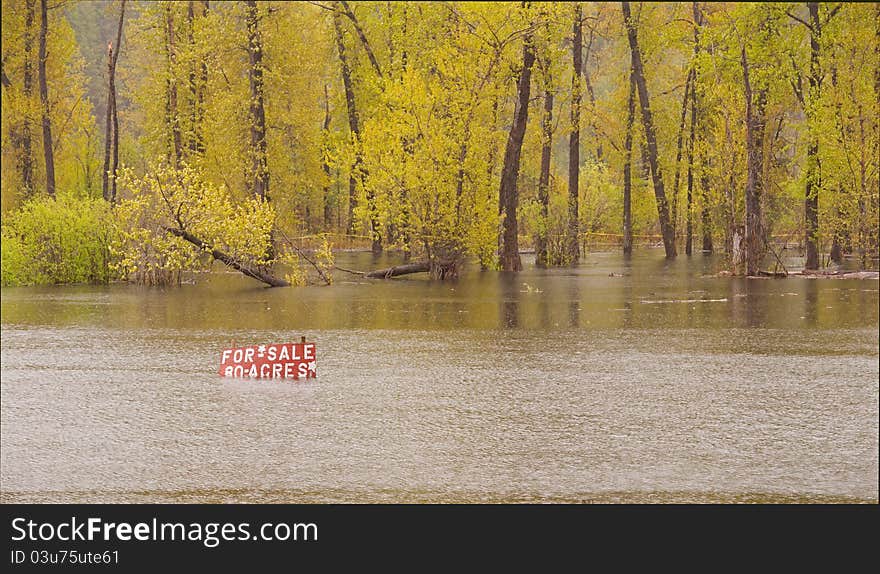 To much rain left this property that is for sale under water. To much rain left this property that is for sale under water