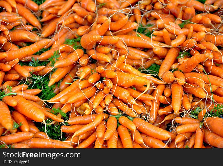 Winter carrots by the bunch at market