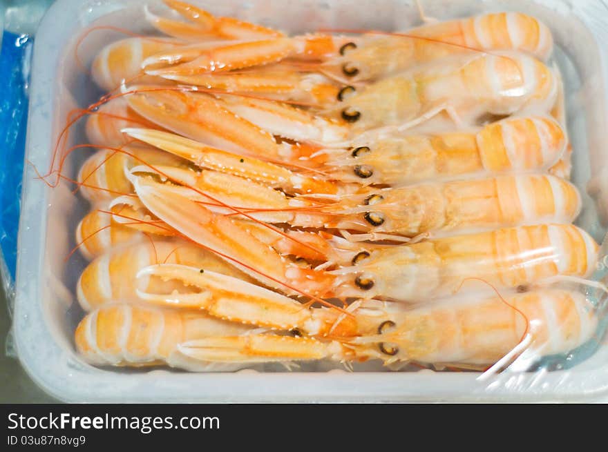 Defrosting langoustines