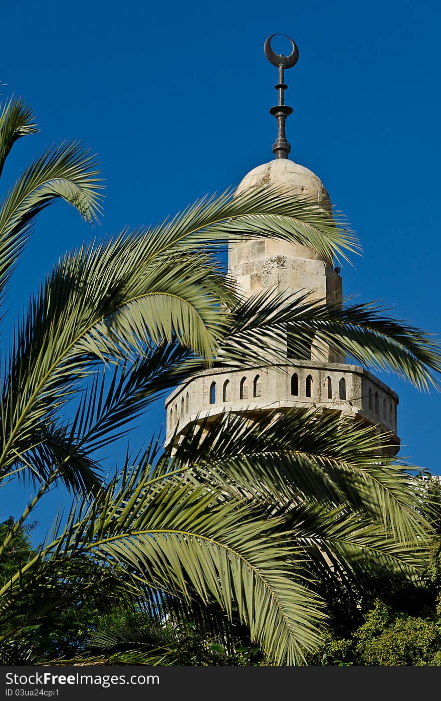 Mosque between the palm tree branches in jerusalem