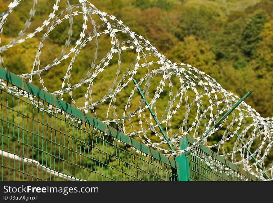 Barbed wire fence on the forest background