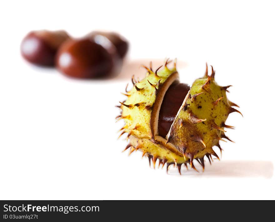 Chestnuts on white, autumn scene. Chestnuts on white, autumn scene