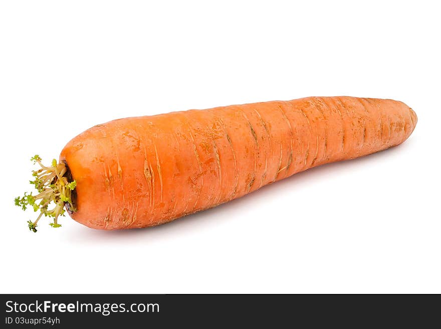 Carrot