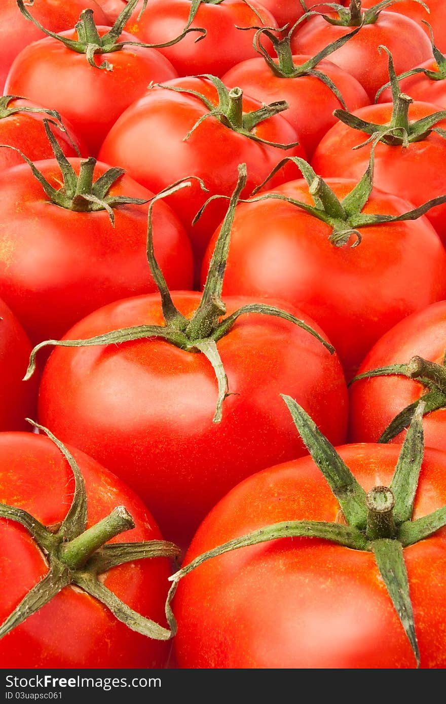 Tomatoes