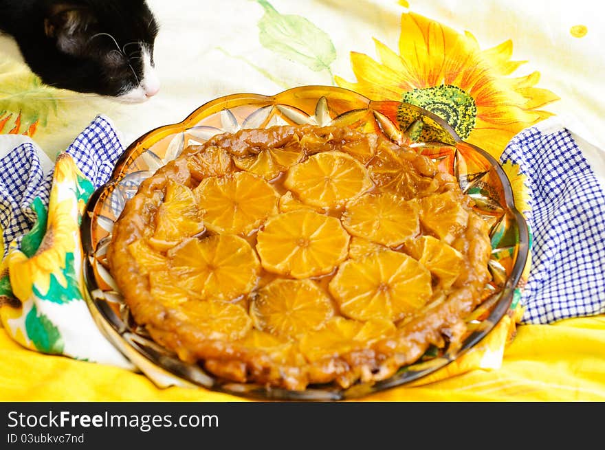 Cat sniffing a tart tatin, craving for a piece. Cat sniffing a tart tatin, craving for a piece