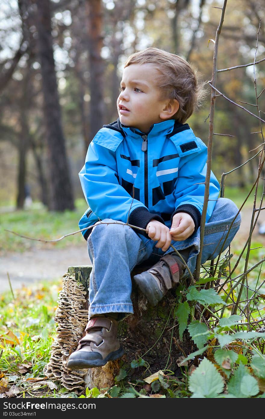 Little Boy Sitting On The  Tree Stump, Fall, Park