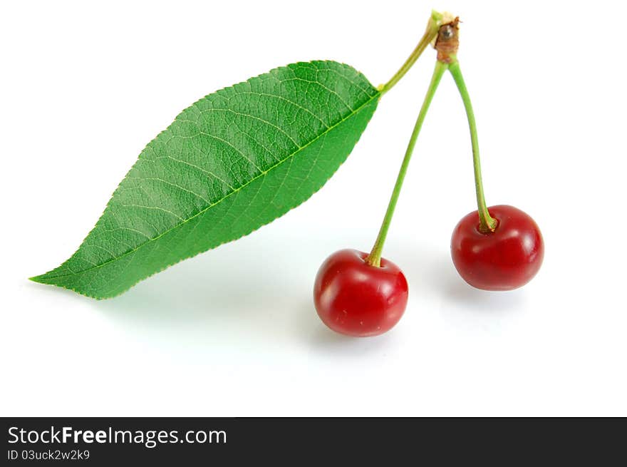 Cherries on white background