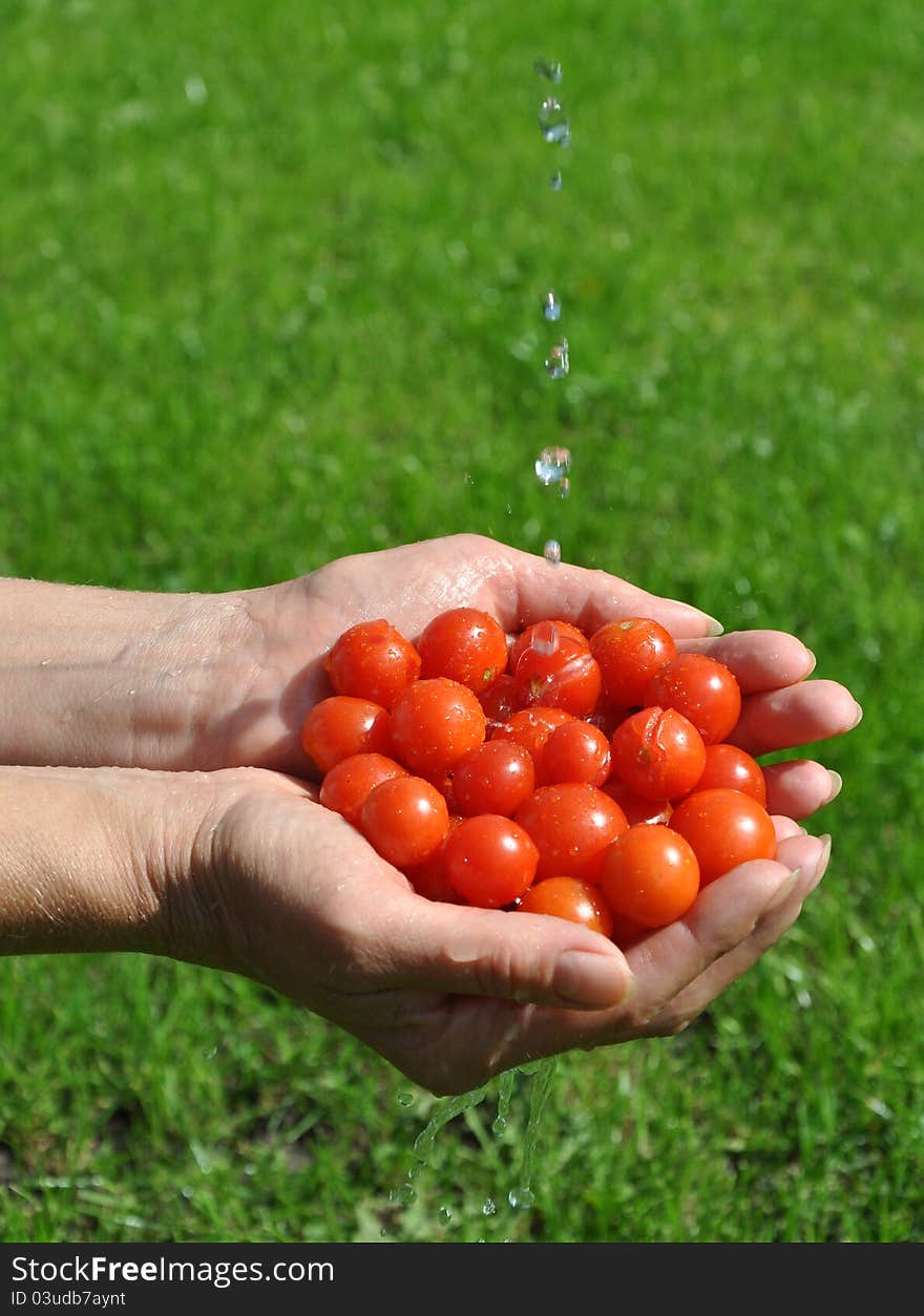 Cherry tomatoes