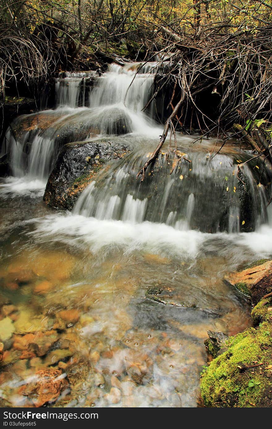 Roaring Creek 2, Poudre Canyon