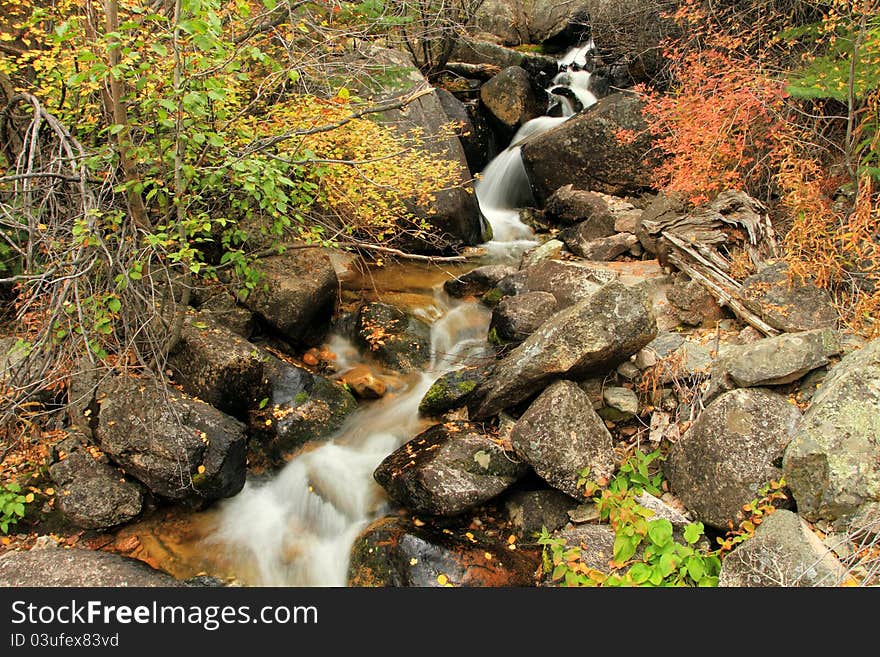 Roaring Creek 4, Poudre Canyon