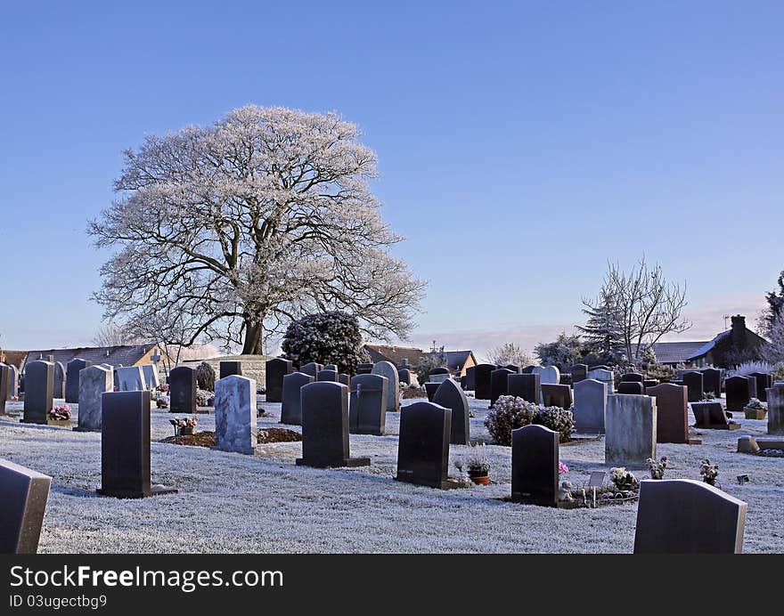 Winter graveyard, lonely tree, religion