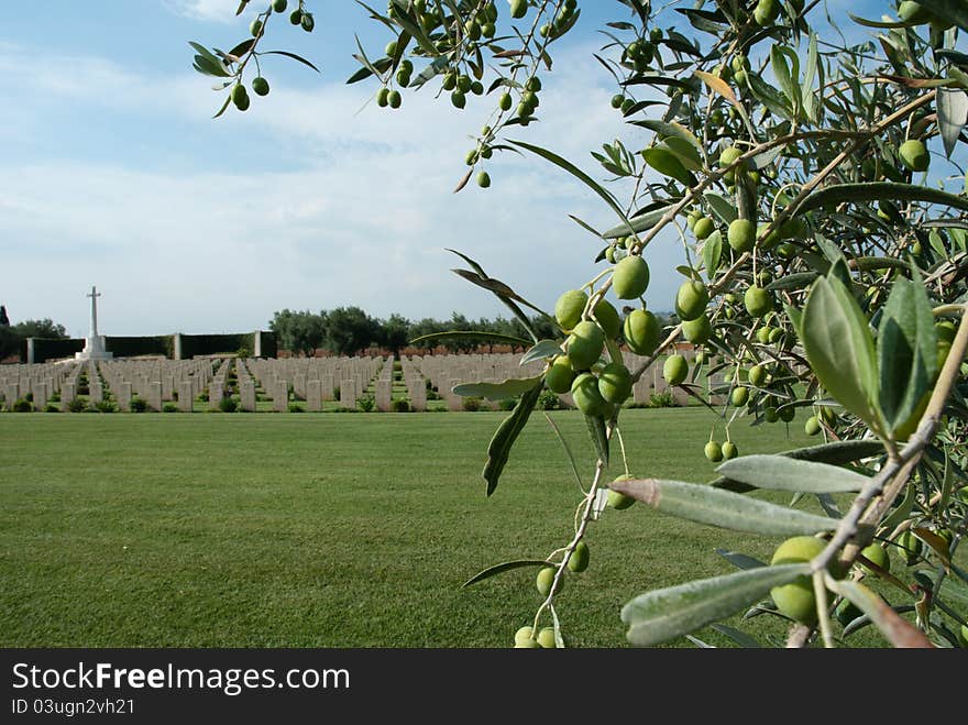 British military memorial and cemetery in Sicily. The majority of the men here are commonwealth airmen that died during the war. There are British ,Canadian, Australian , jewish . British military memorial and cemetery in Sicily. The majority of the men here are commonwealth airmen that died during the war. There are British ,Canadian, Australian , jewish .