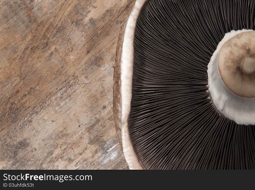 A mushroom on wooden table.