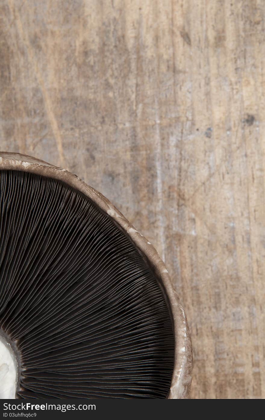 A mushroom on wooden table.