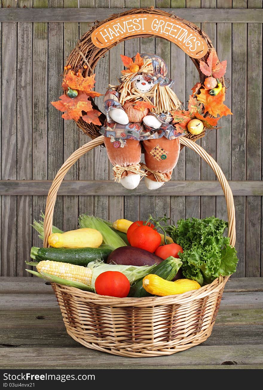 Corn, squash, tomatoes, lettuce and egg plant in a basket. Corn, squash, tomatoes, lettuce and egg plant in a basket