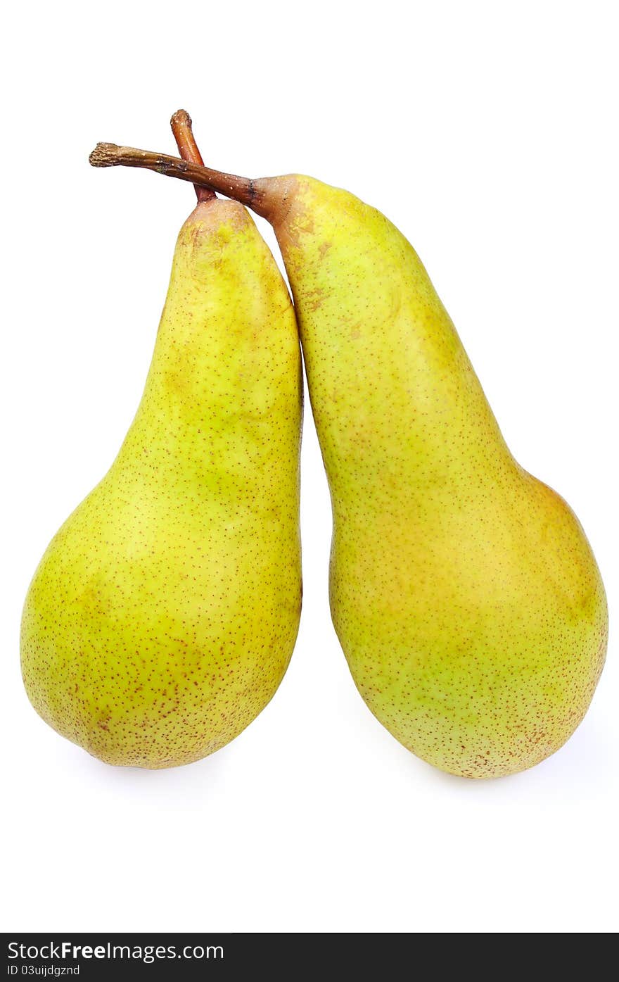 Two ripe pears on white background