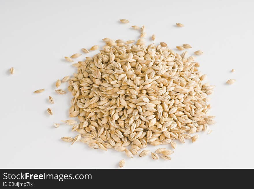 Fresh wheat grains over white background