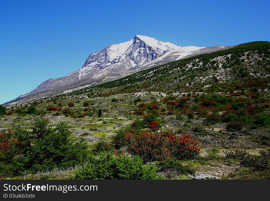 An image of a walk in Patagonia showing the beauty of the natural landscape. An image of a walk in Patagonia showing the beauty of the natural landscape