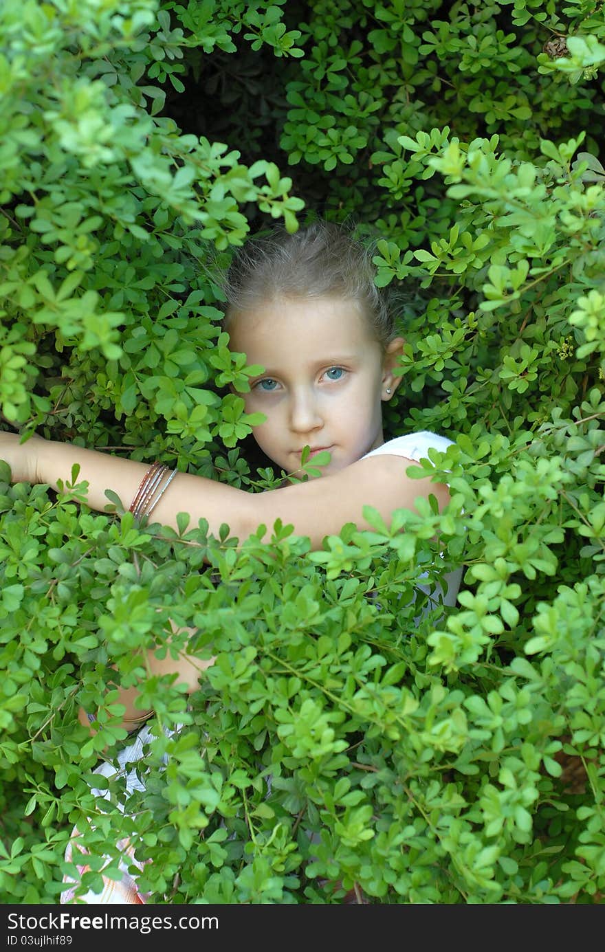 Child girl portrait in the leaves poses. Child girl portrait in the leaves poses